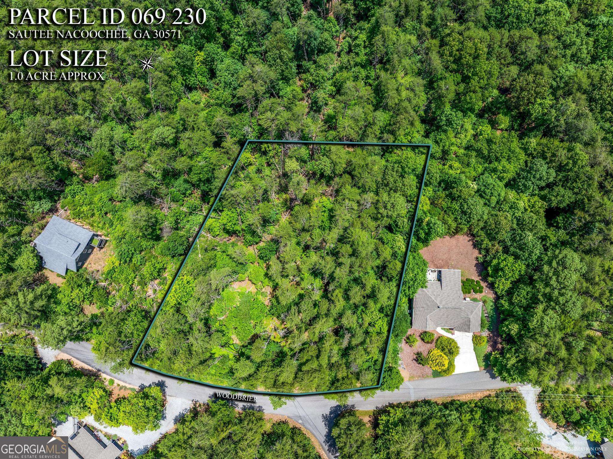Sautee Nacoochee, GA 30571,15D Woodbrier