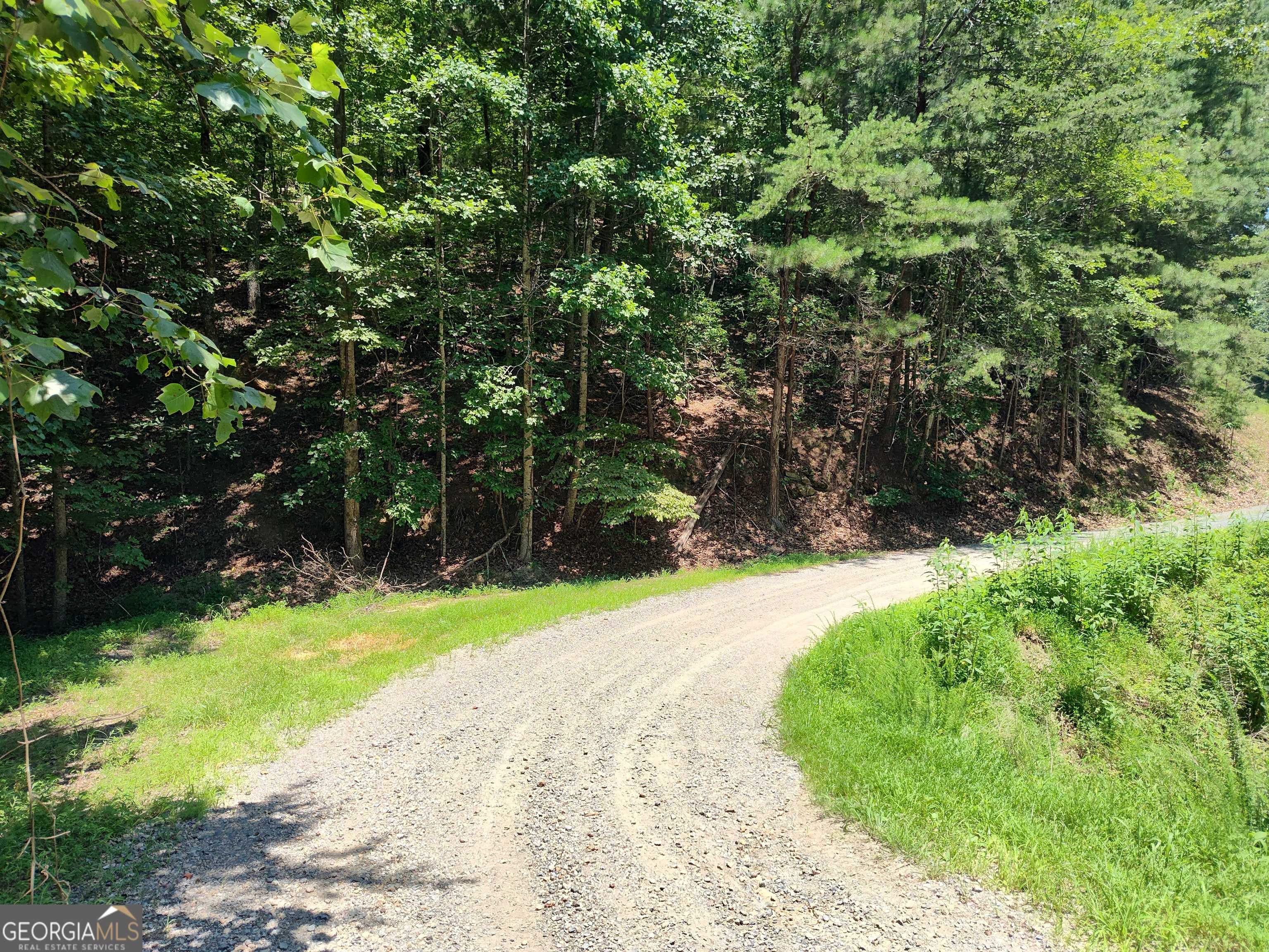 Ranger, GA 30734,560 Neptune CIR