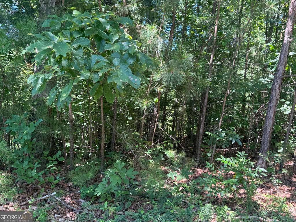 Ranger, GA 30734,189 Hopewell DR
