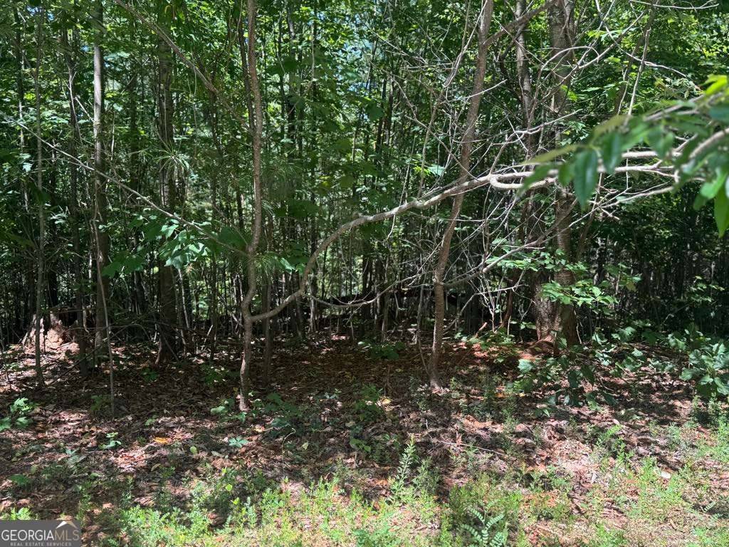 Ranger, GA 30734,189 Hopewell DR