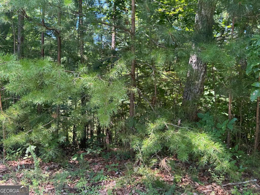 Ranger, GA 30734,189 Hopewell DR
