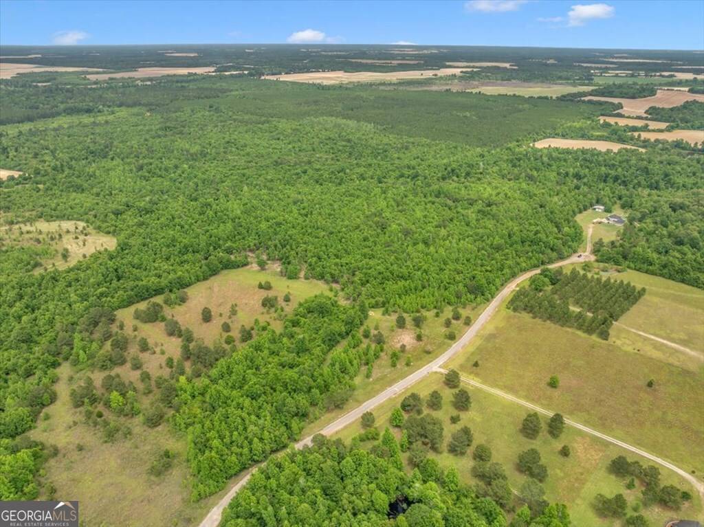 Sylvester, GA 31791,135 Mill Creek CT