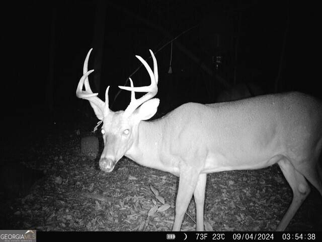 Dearing, GA 30808,0 Hobbs RD