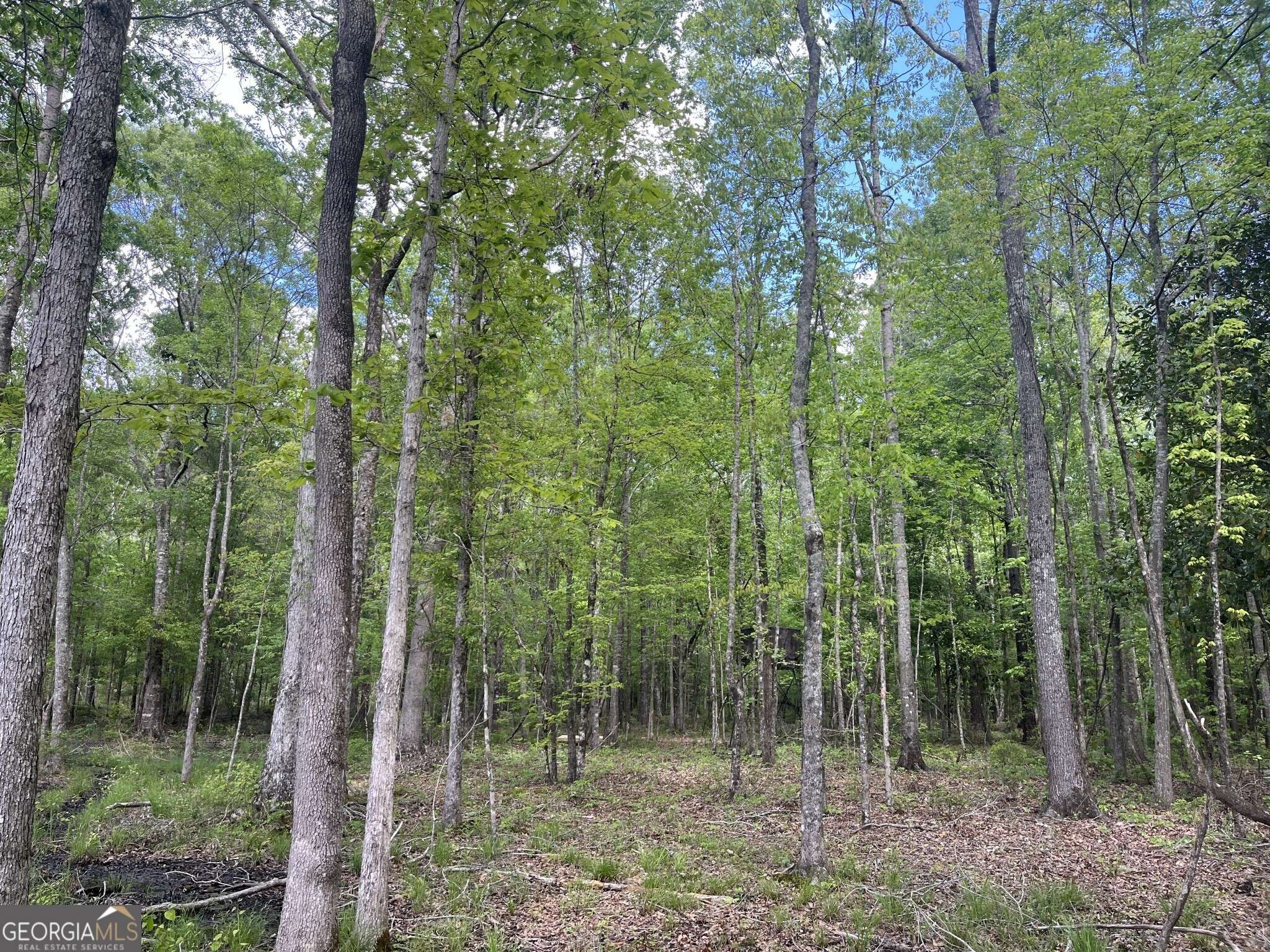 Wrightsville, GA 31096,0 Bartow-Dublin RD