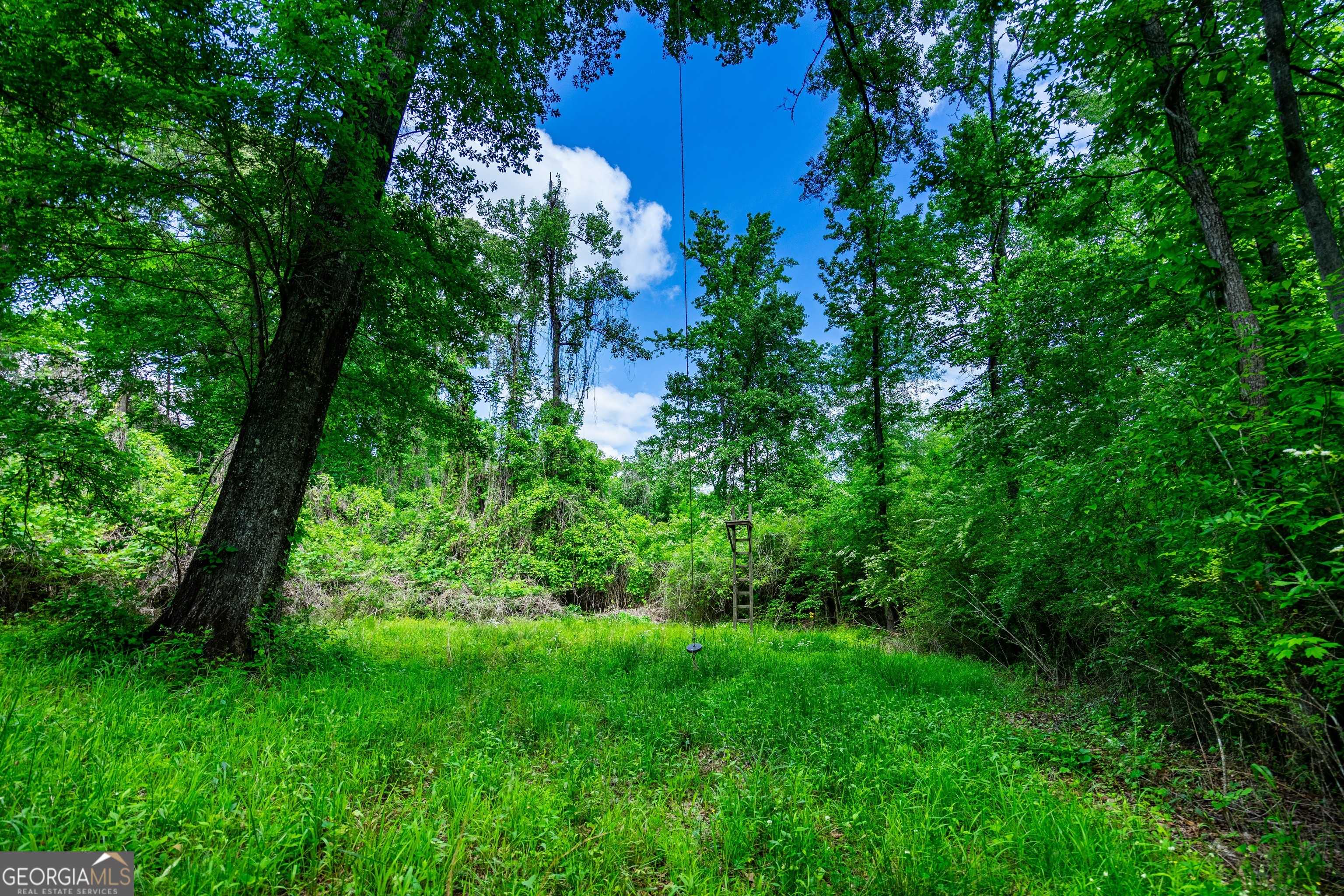 Lagrange, GA 30240,135 AC Hanson DR