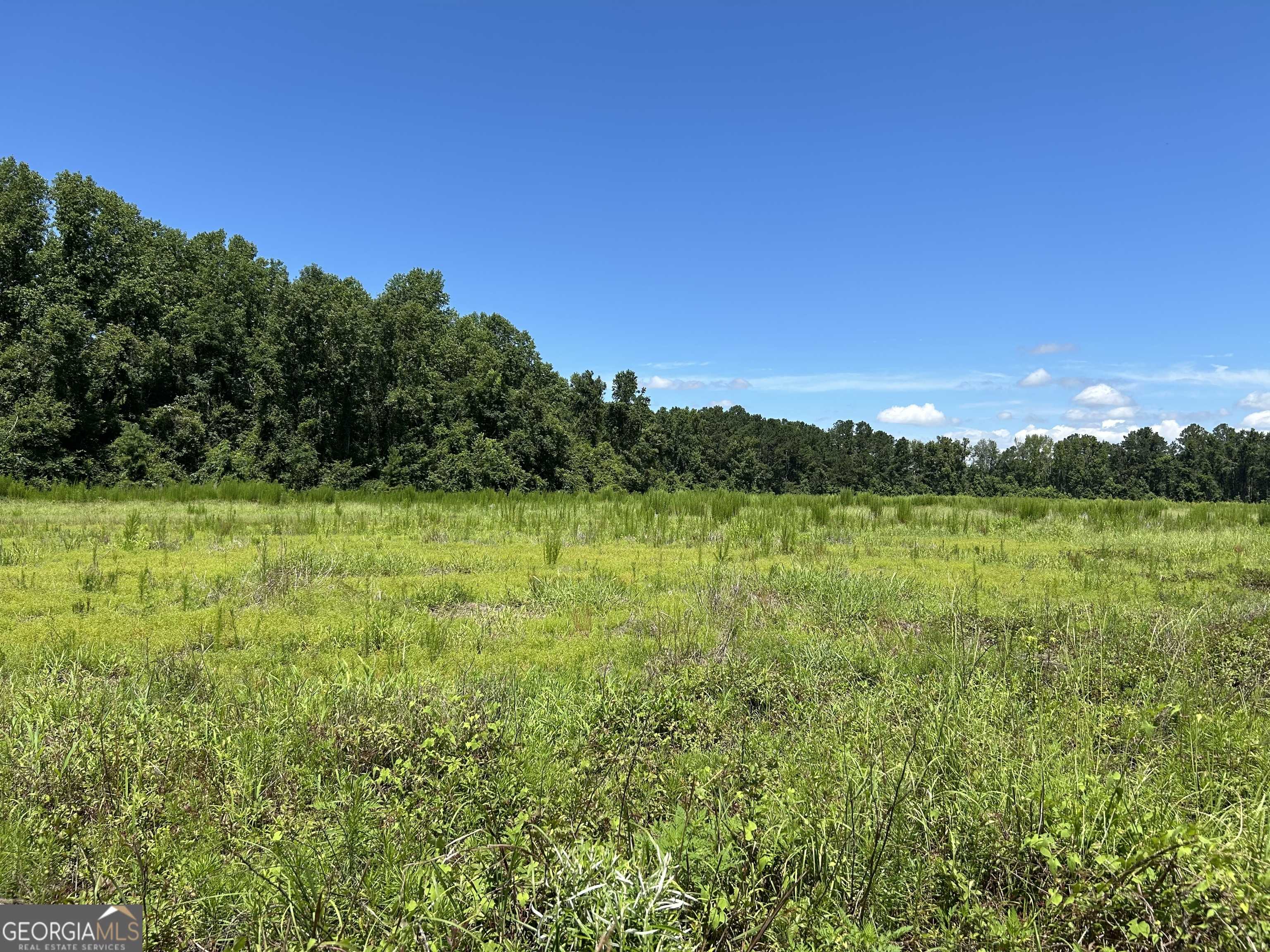 Brooklet, GA 30415,LOT 4 Cleary Rd