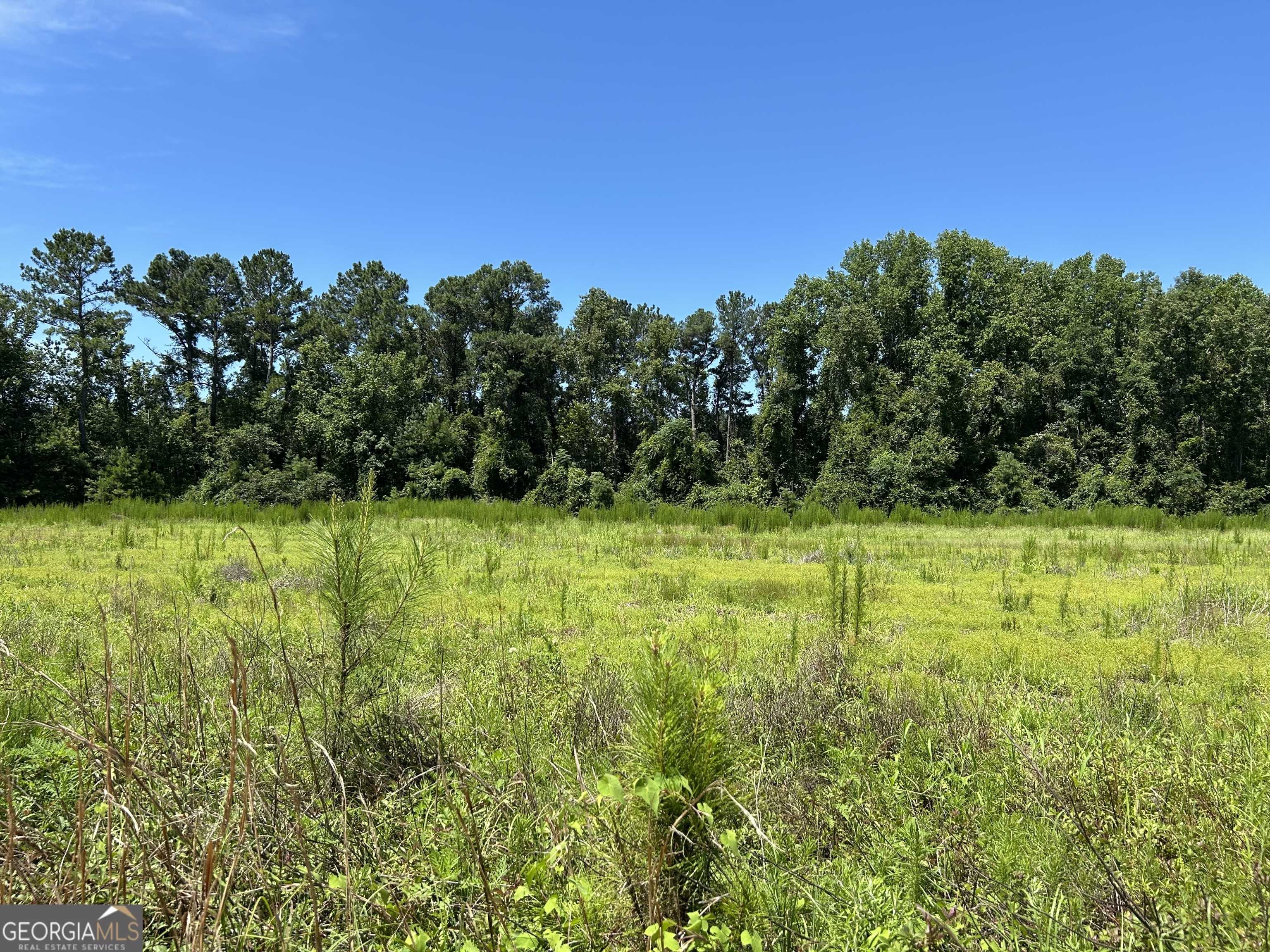 Brooklet, GA 30415,LOT 4 Cleary Rd