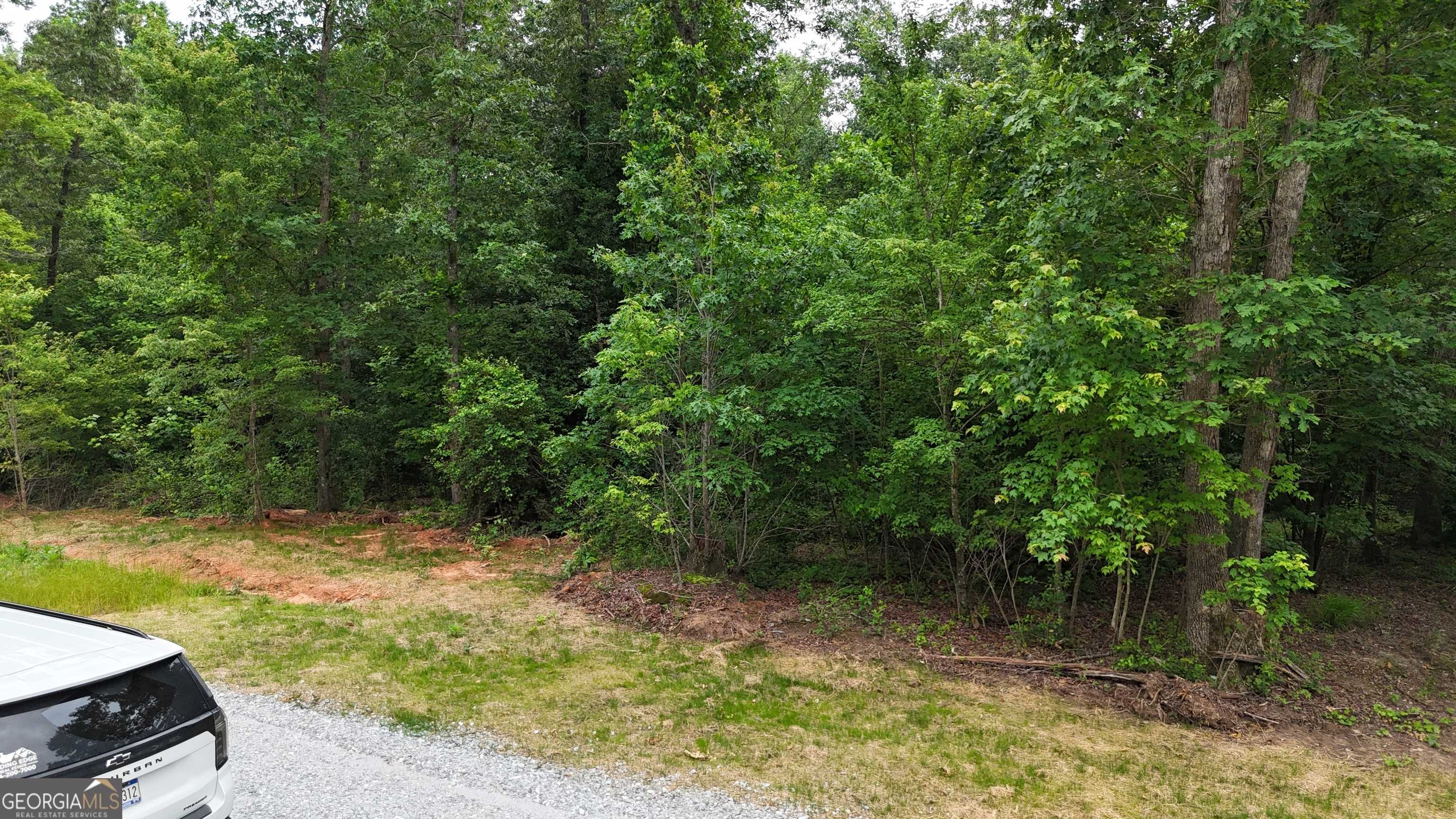 Cornelia, GA 30531,2.4 ACRES Garrison RD