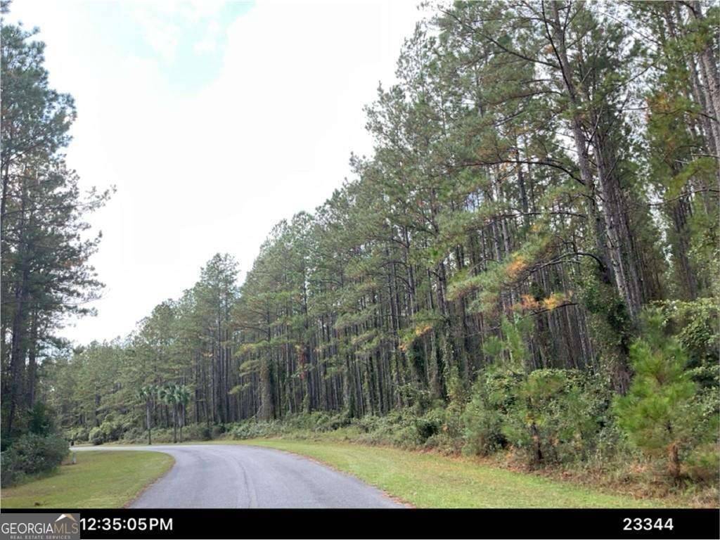 White Oak, GA 31568,LOT 67 Waverly LN