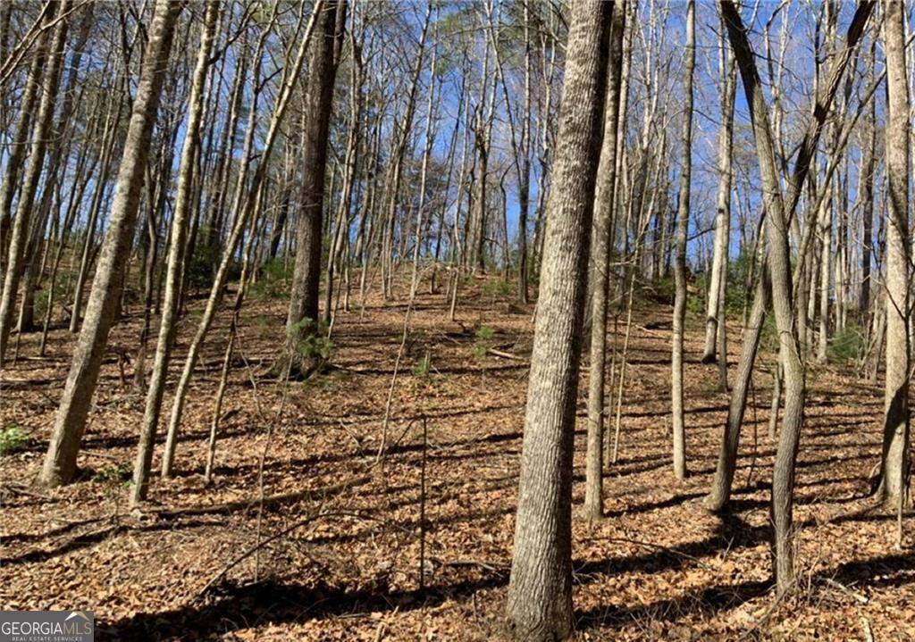 Ellijay, GA 30540,0 Walhalla CT #388