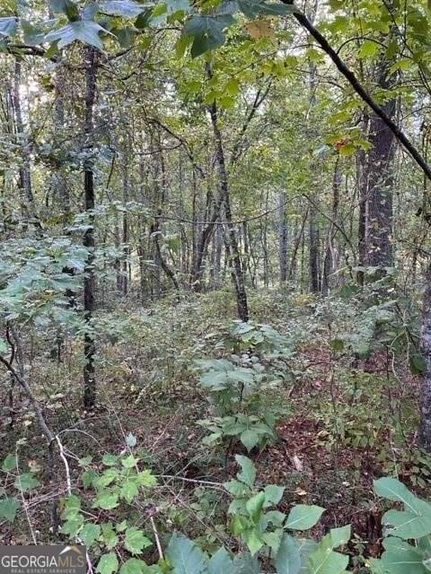 Ball Ground, GA 30107,1089 Damascus DR