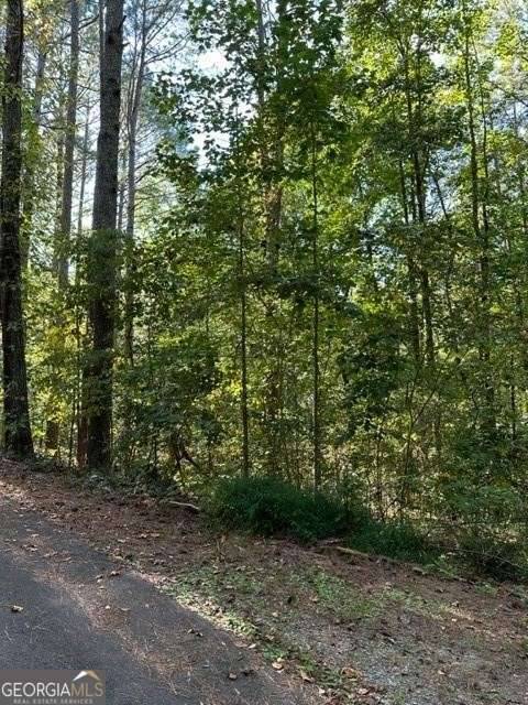 Ball Ground, GA 30107,1089 Damascus DR