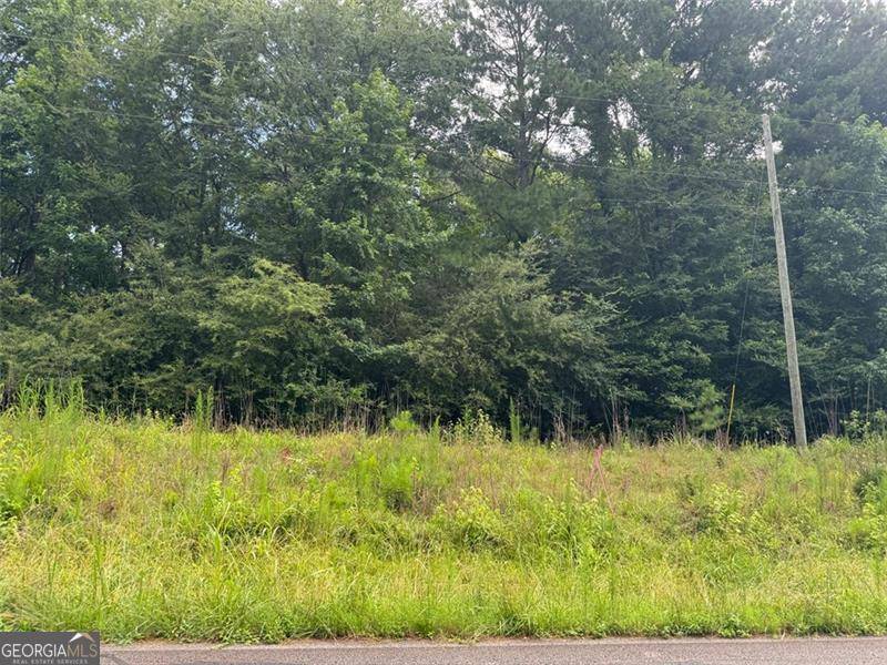 Buckhead, GA 30625,0 Saffold RD