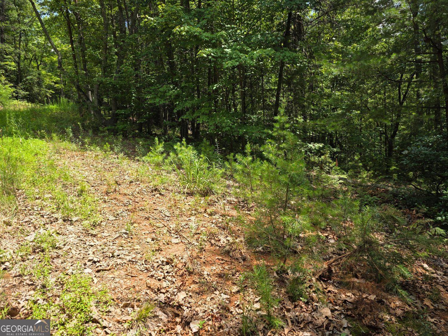 Sautee Nacoochee, GA 30571,LOT 14 & 6 Bean creek