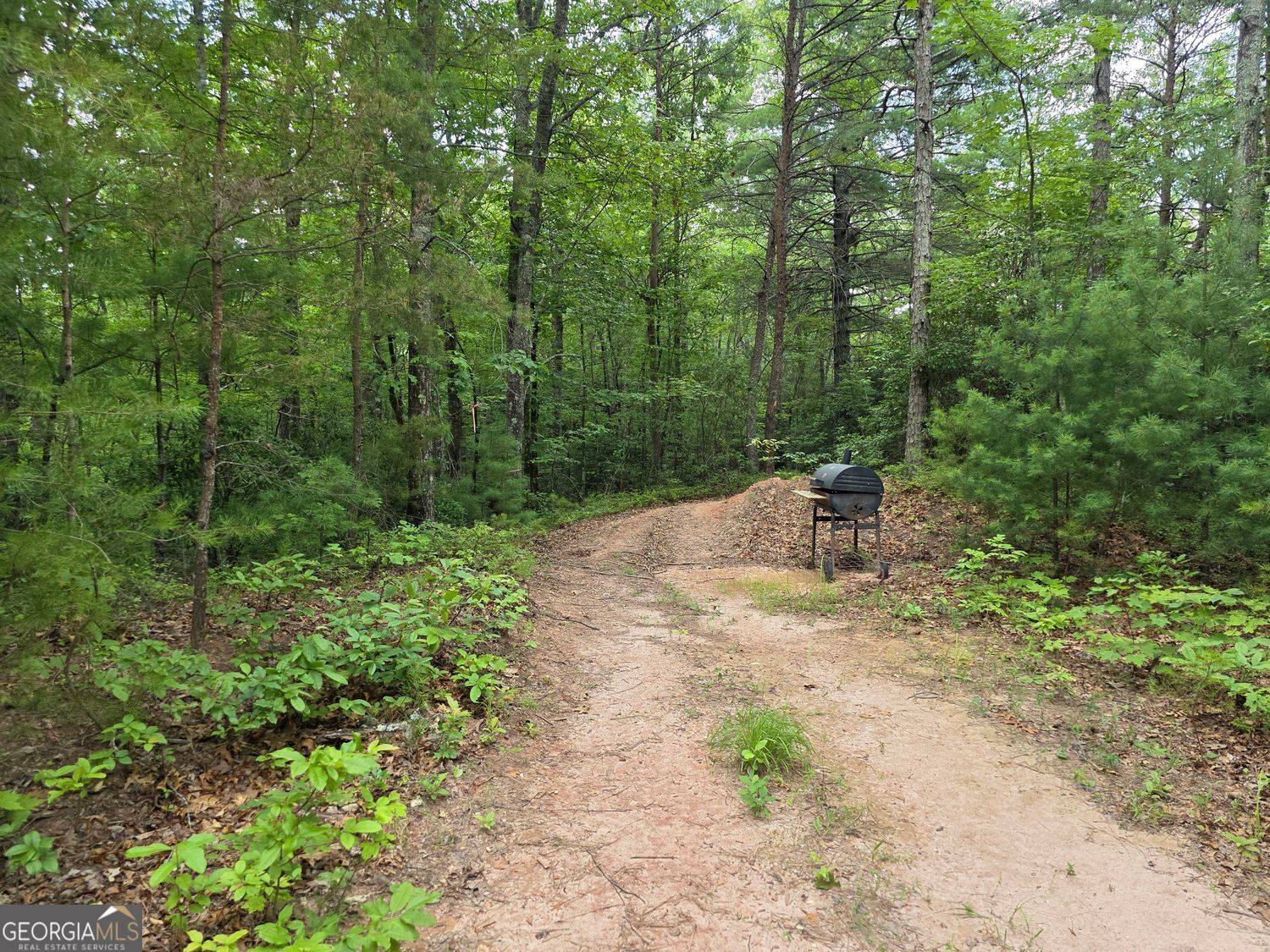 Sautee Nacoochee, GA 30571,LOT 14 & 6 Bean creek