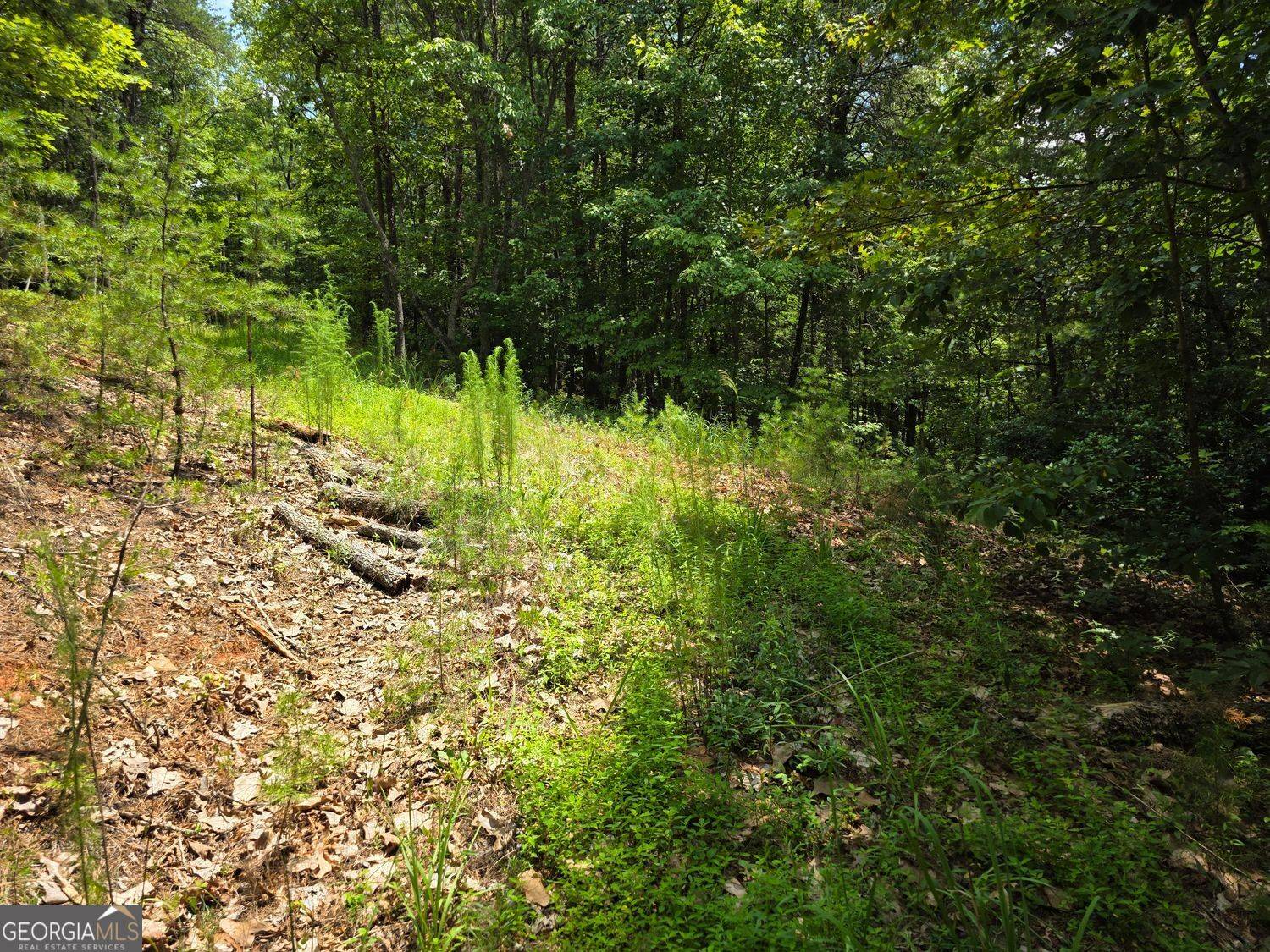 Sautee Nacoochee, GA 30571,LOT 14 & 6 Bean creek