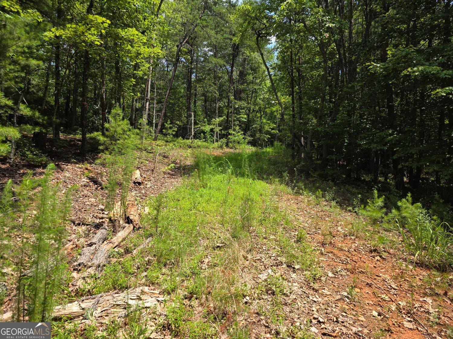 Sautee Nacoochee, GA 30571,LOT 14 & 6 Bean creek