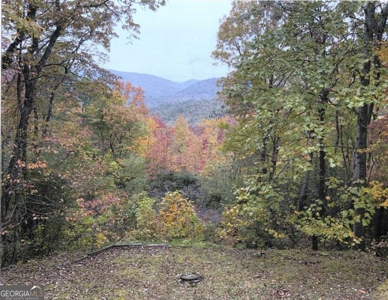 Clayton, GA 30525,54 Teaberry LN