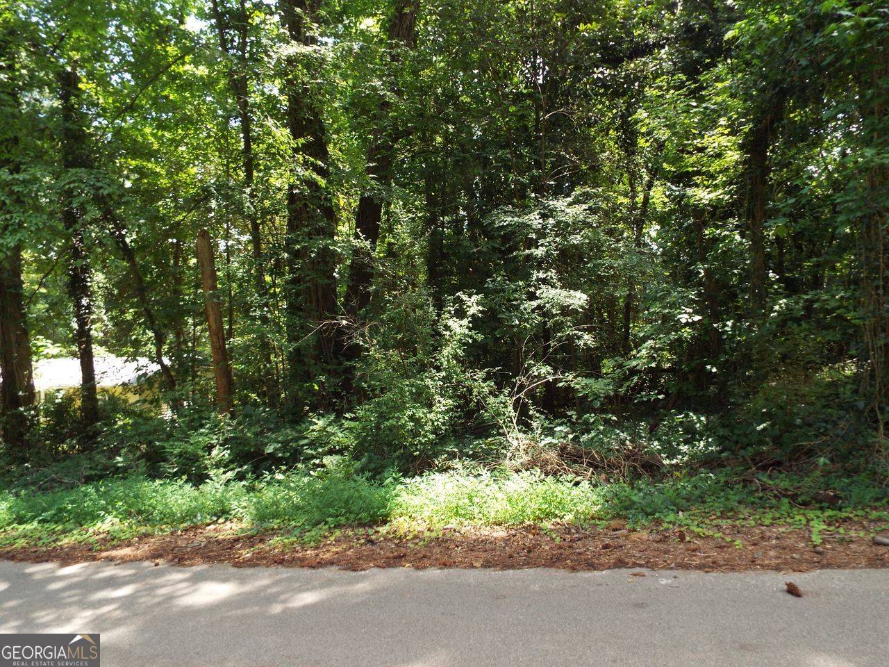 Stockbridge, GA 30281,0 Swan Lake Rd-Lot 4 E
