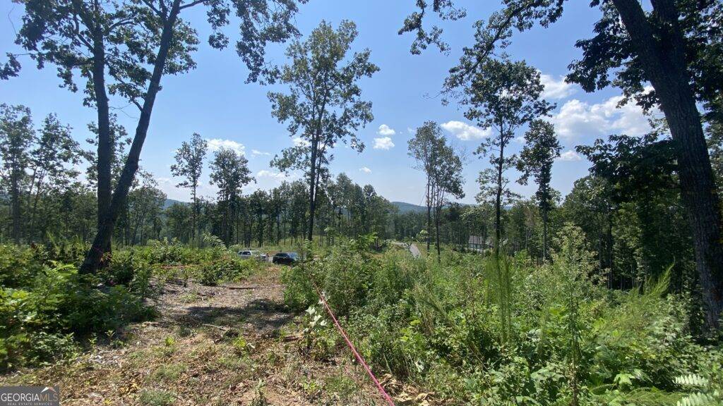 Talking Rock, GA 30175,1084 Highgrove DR