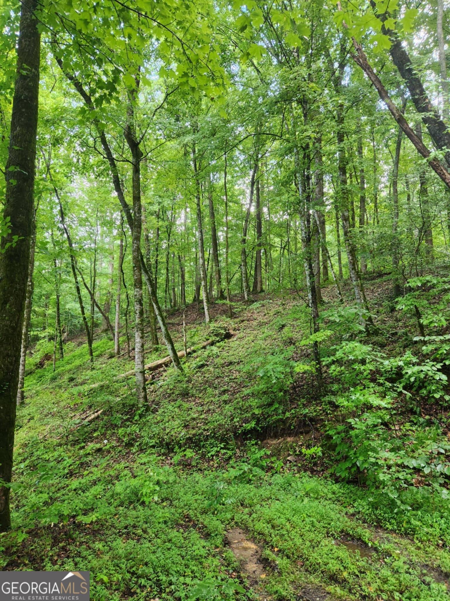 South Pittsburg, TN 37380,0 S Pittsburg Mountain RD