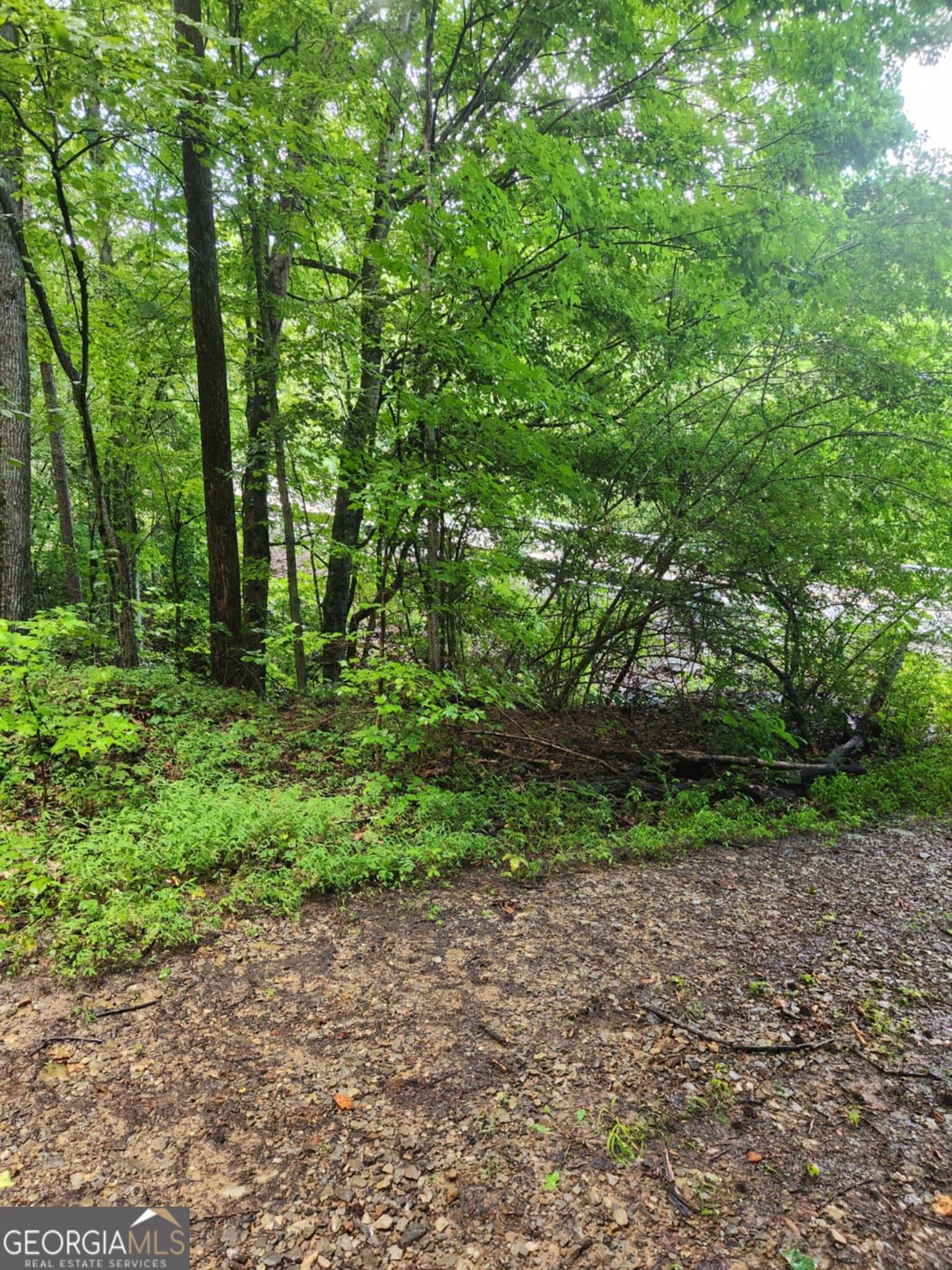 South Pittsburg, TN 37380,0 S Pittsburg Mountain RD