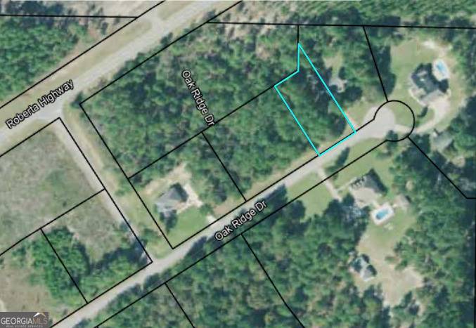 Butler, GA 31006,0 Oak Ridge DR