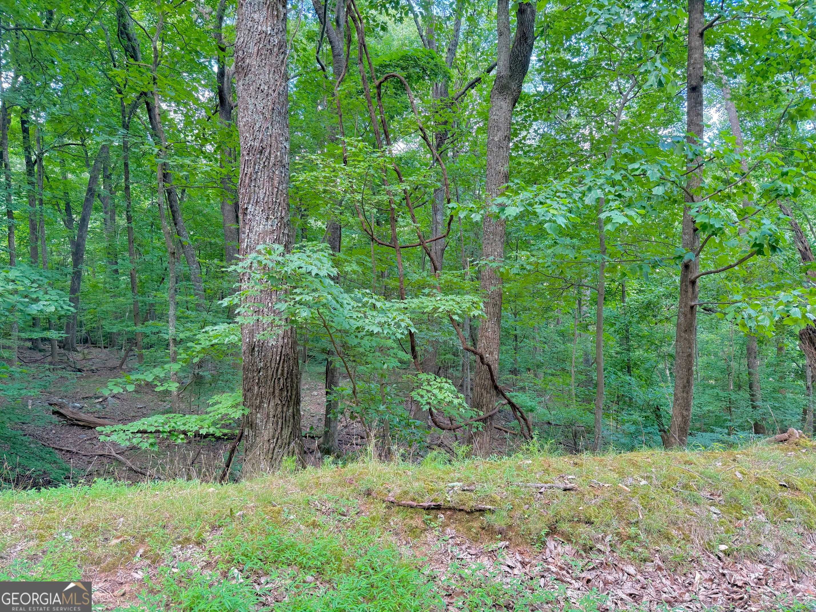 Jasper, GA 30143,3238 Coffey Cove DR