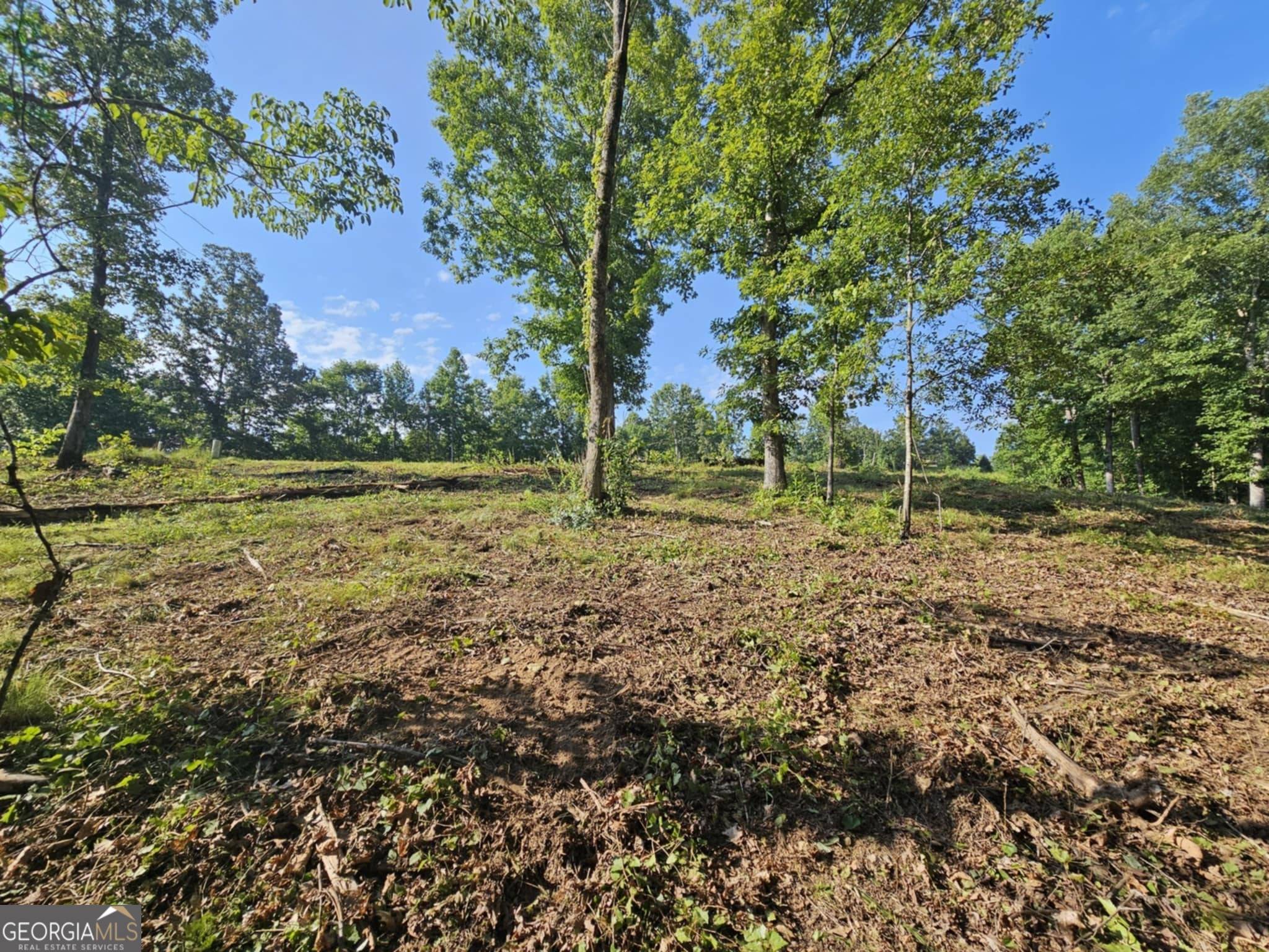 Toccoa, GA 30577,237 Southern Trace