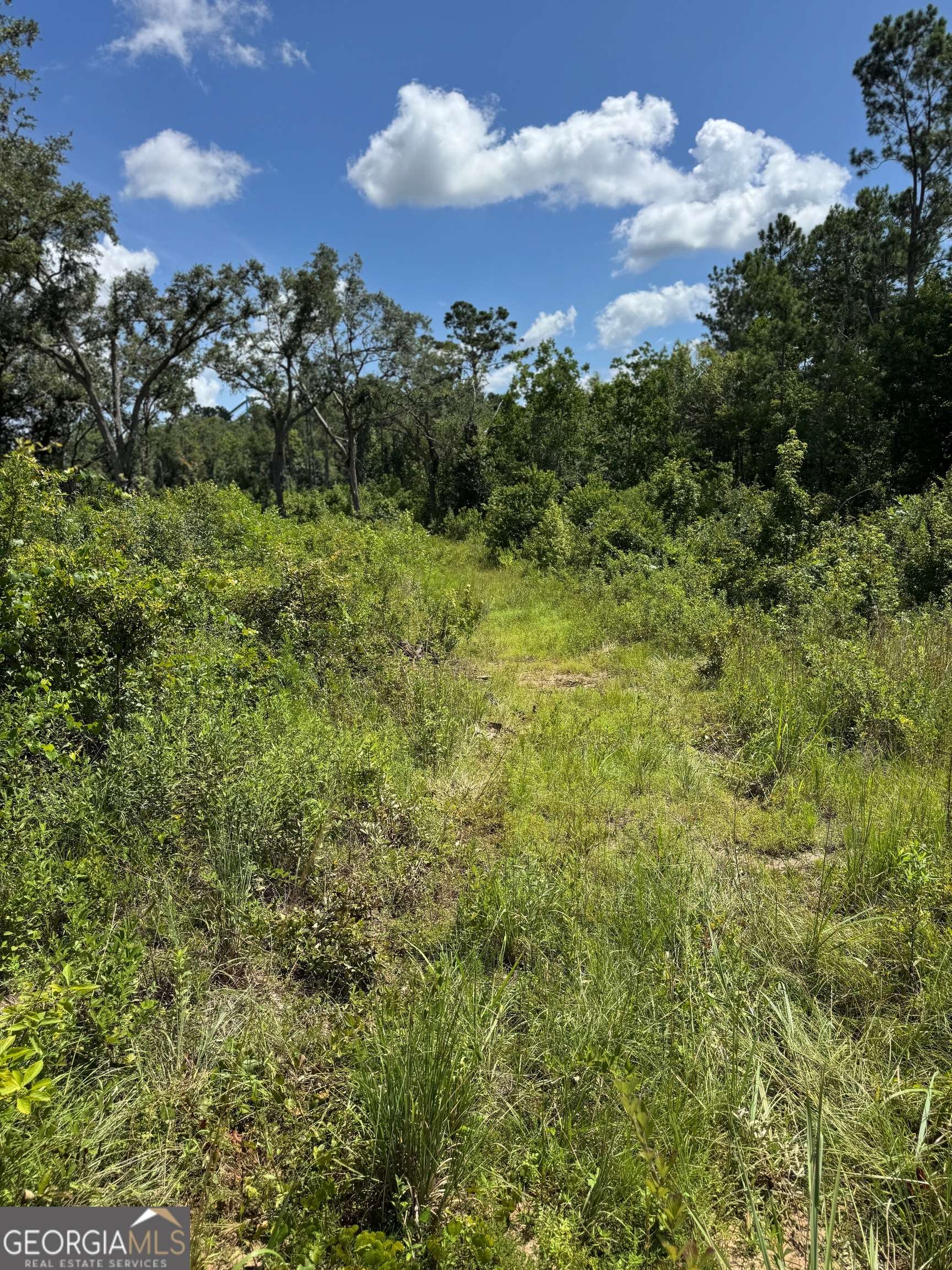 Valdosta, GA 31601,5125 Kinderlou Clyattville RD