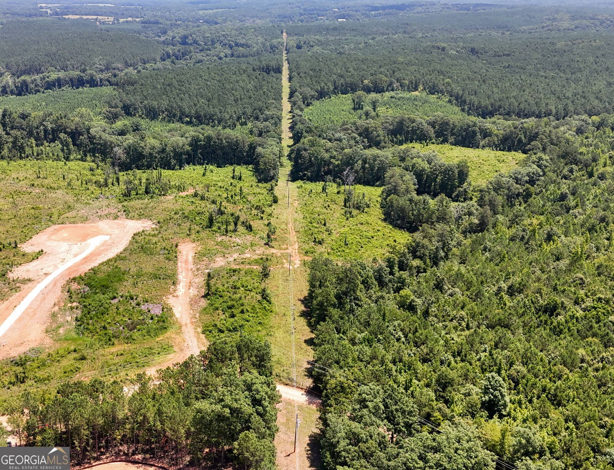Monticello, GA 31064,0 Faulkner Road (Lot 10)