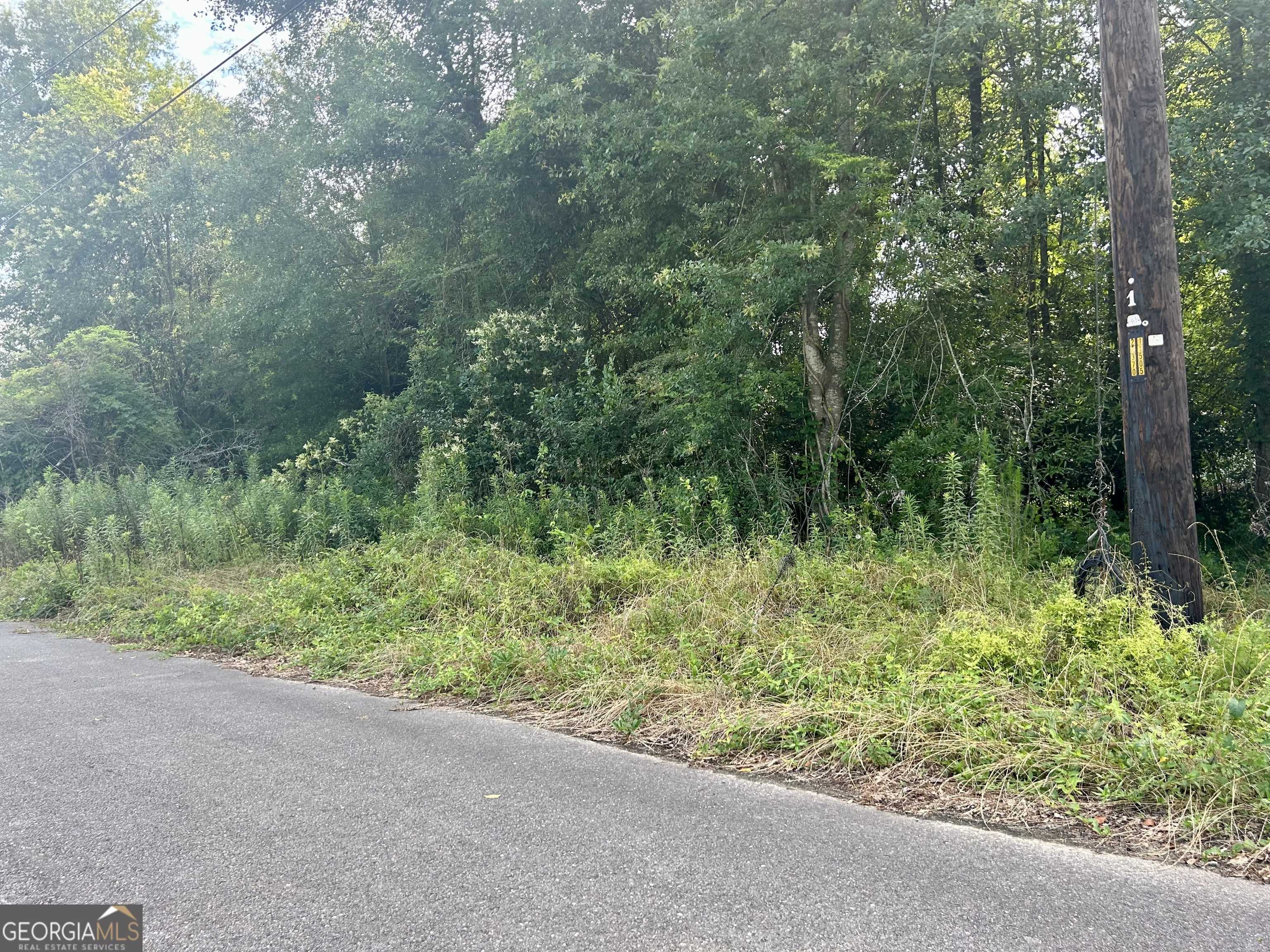Marshallville, GA 31057,225 Lilly ST