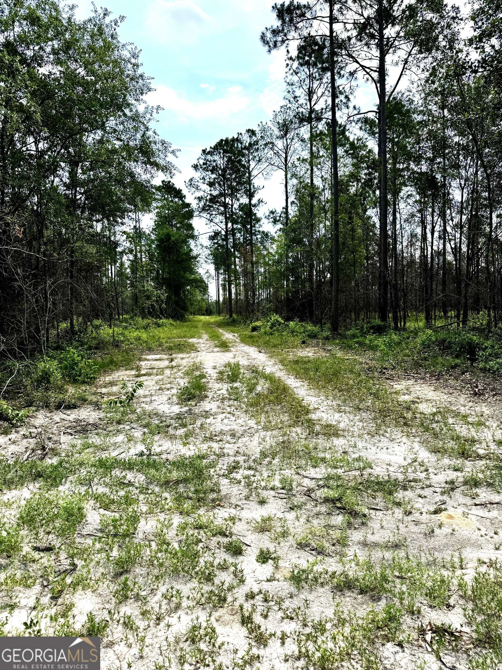 Climax, GA 39834,000 Pelham RD