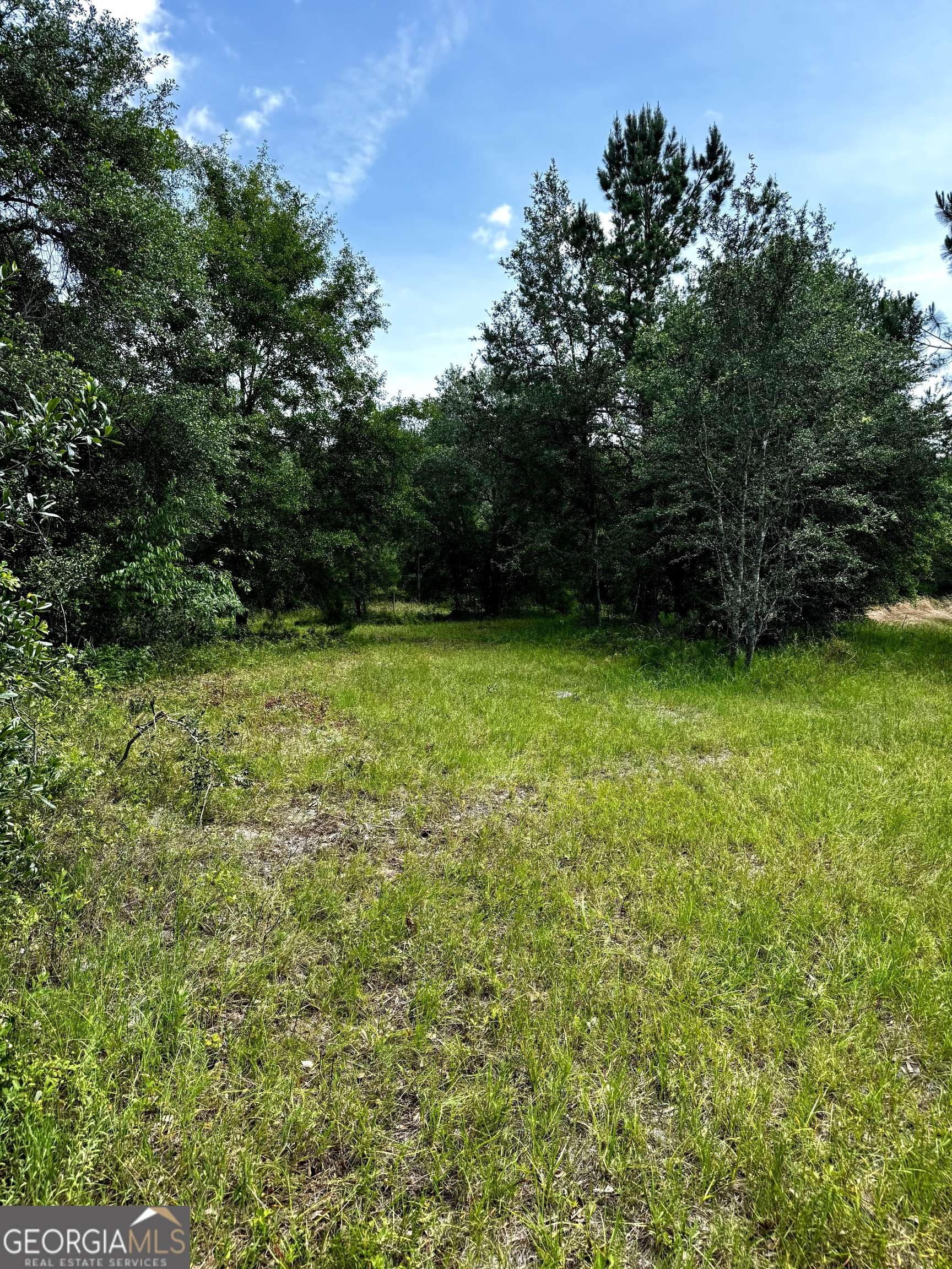 Climax, GA 39834,000 Pelham RD