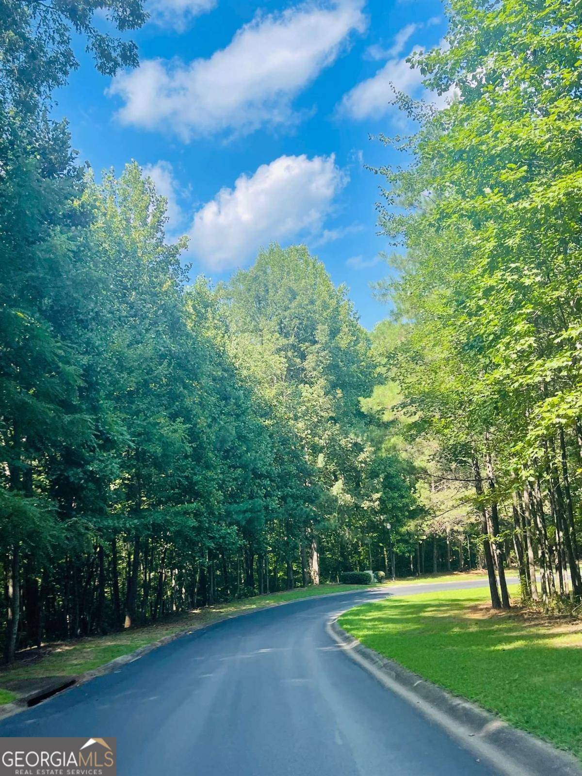 Ball Ground, GA 30107,711 Hawks Ridge DR