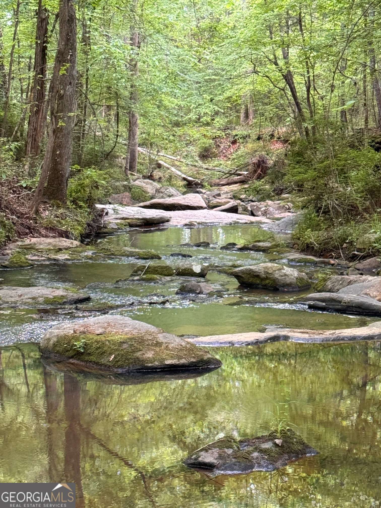Forsyth, GA 31029,449 Old Indian Springs RD