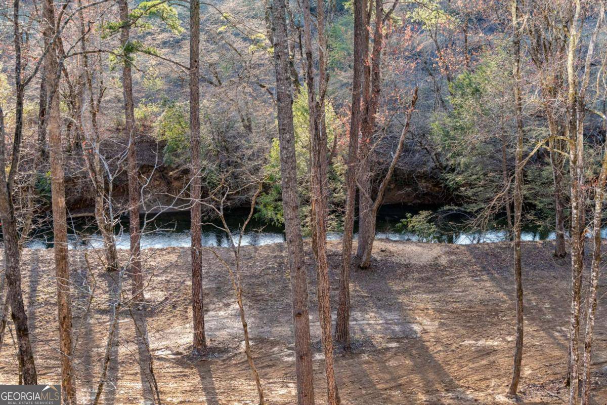 Blue Ridge, GA 30513,287 Cool Creek TRL