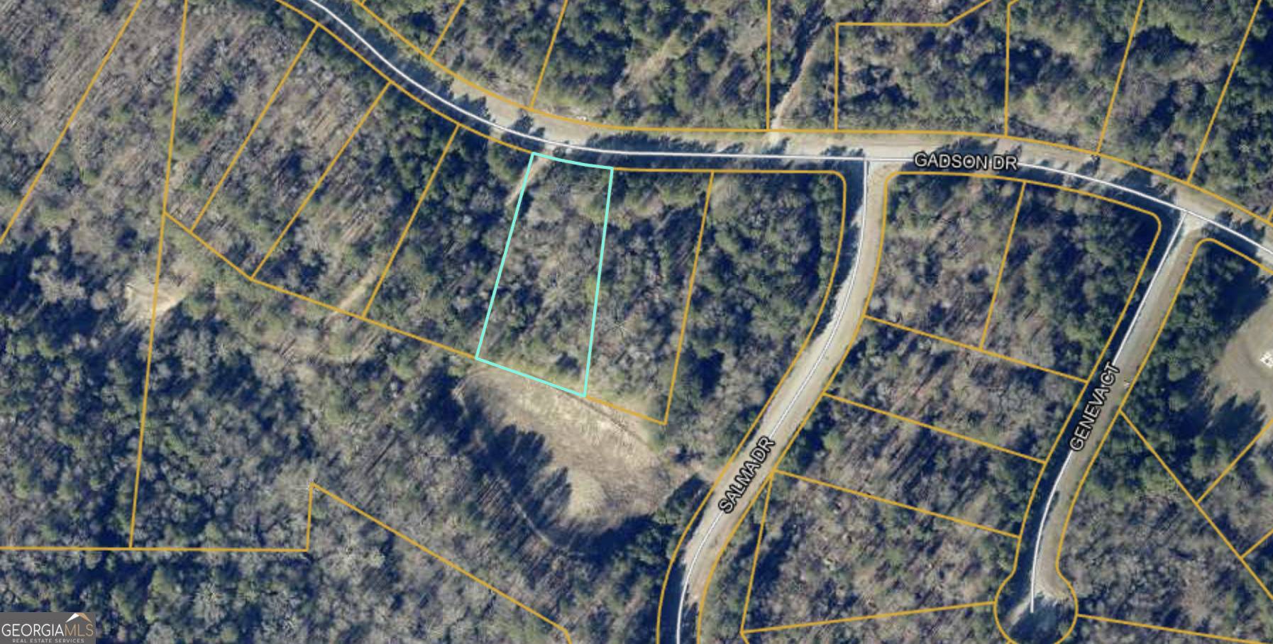 Fayetteville, GA 30214,210 Gadson DR #LOT 47