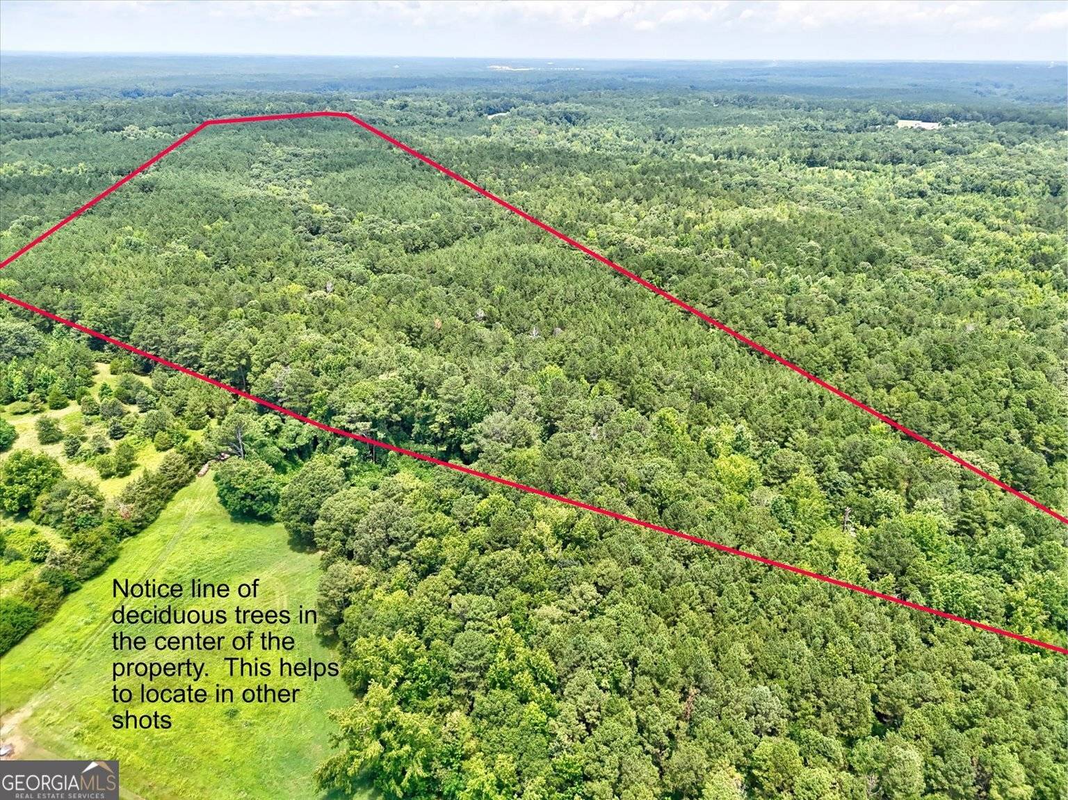 Elberton, GA 30635,00 Lexington HWY