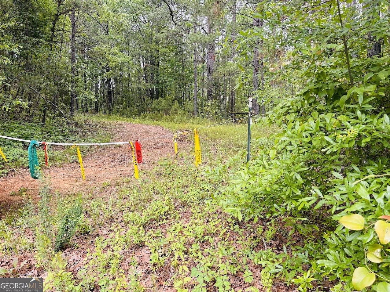 Clanton, AL 35046,0 County Road 197
