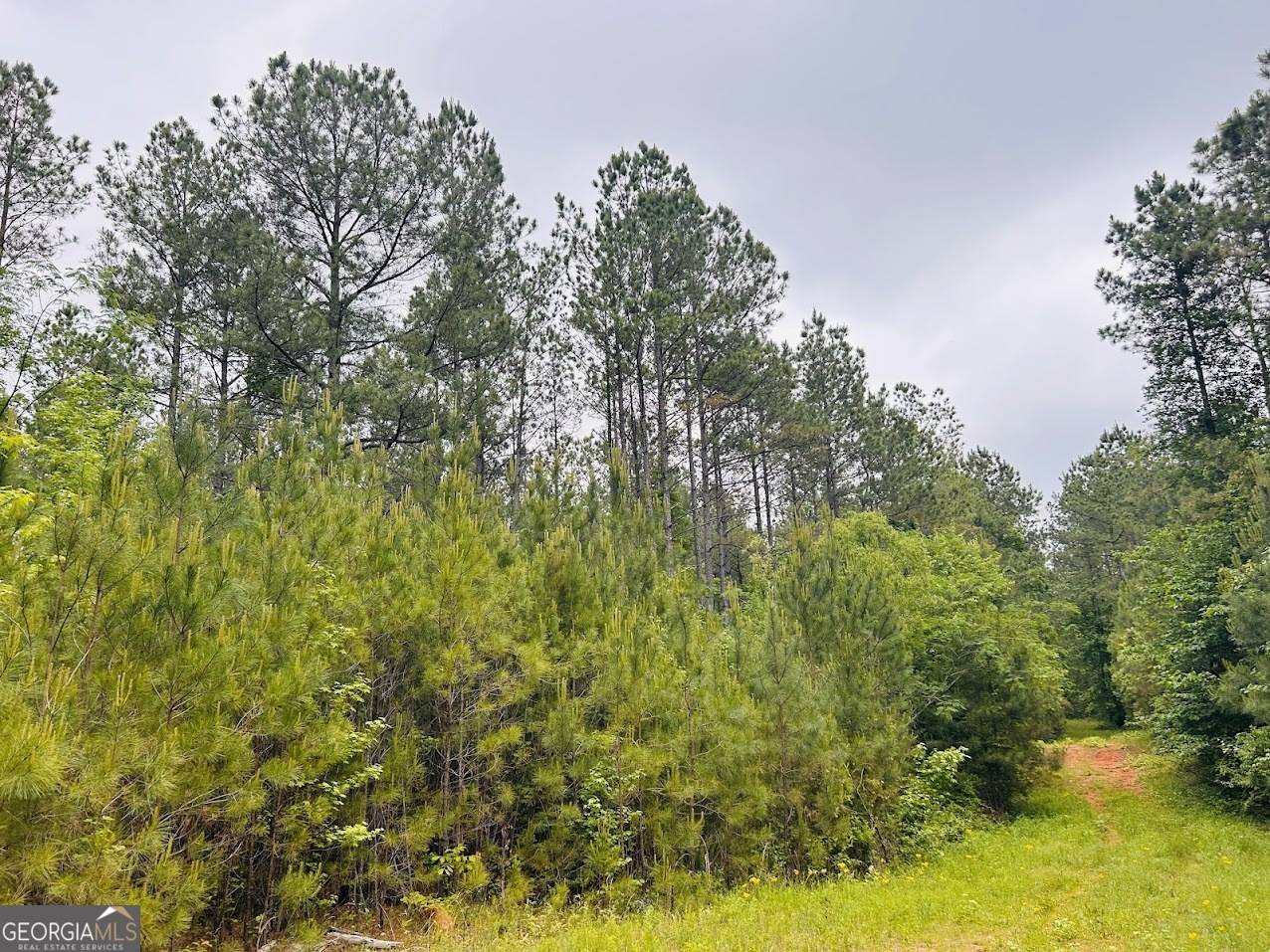Clanton, AL 35046,0 County Road 197