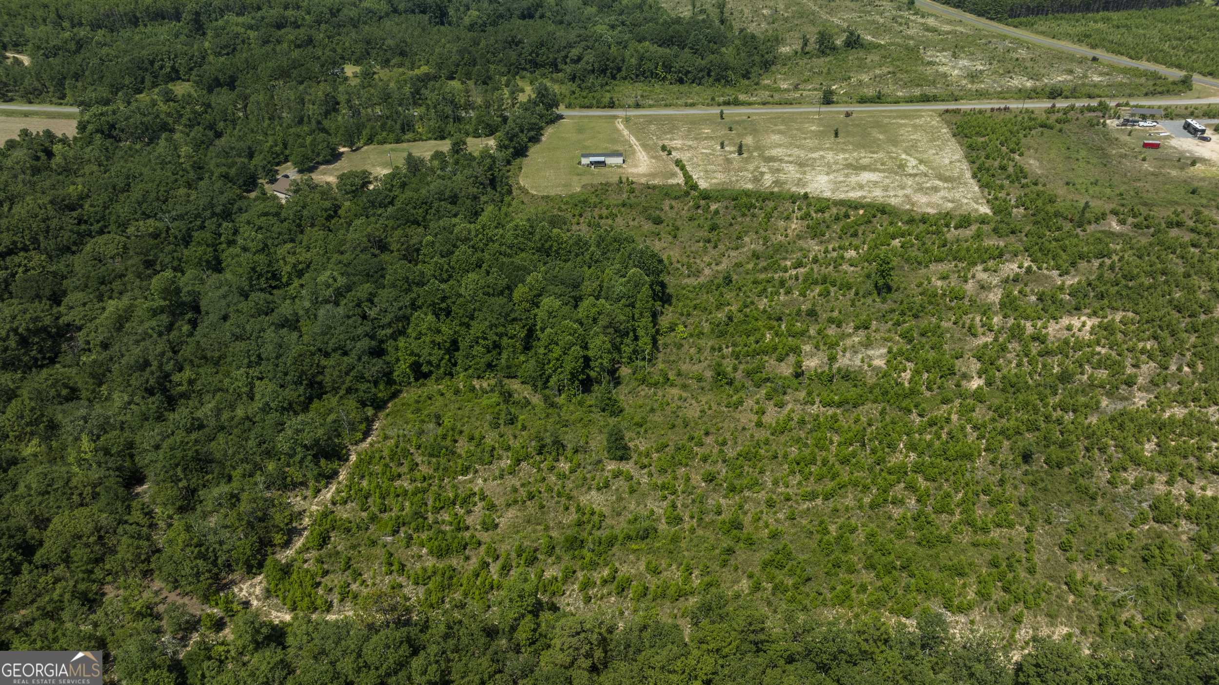 Buena Vista, GA 31803,97 Mill Pond RD