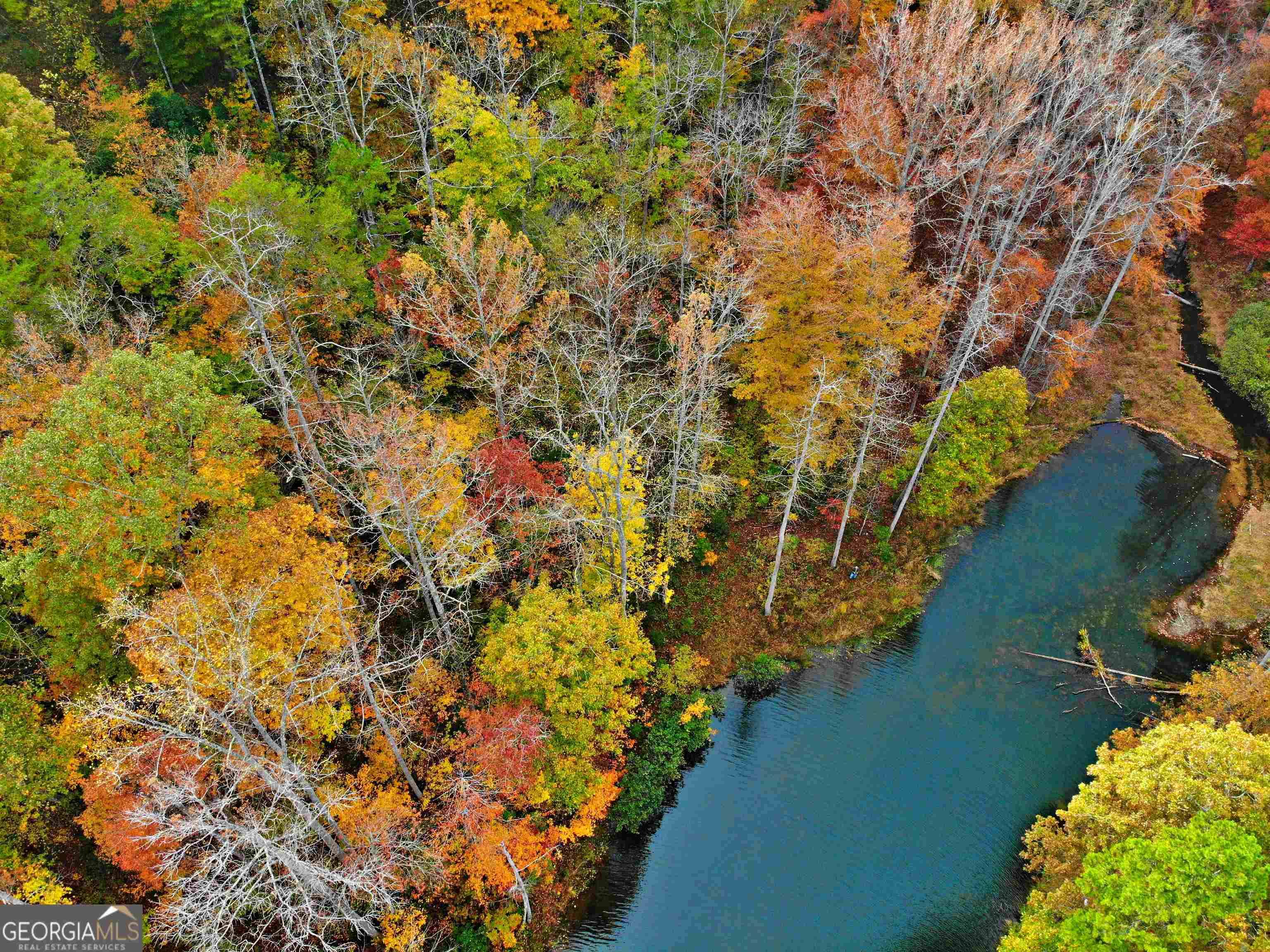 Cleveland, GA 30528,LOT 157 N Laceola RD #157