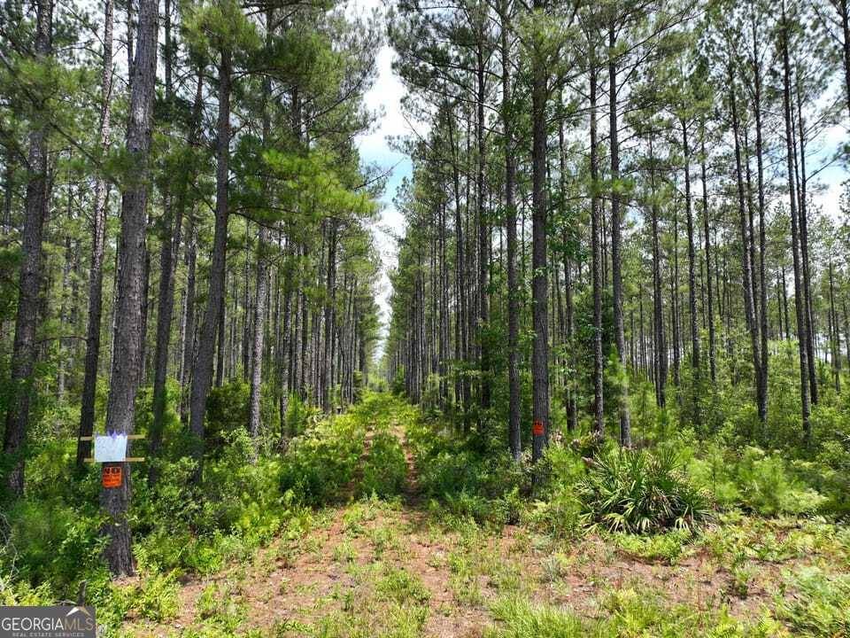Waycross, GA 31503,3207 Bertran Trail