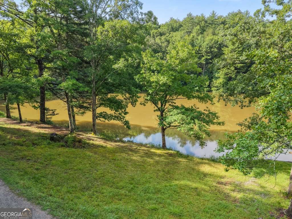Blue Ridge, GA 30513,12 Ridge TRL