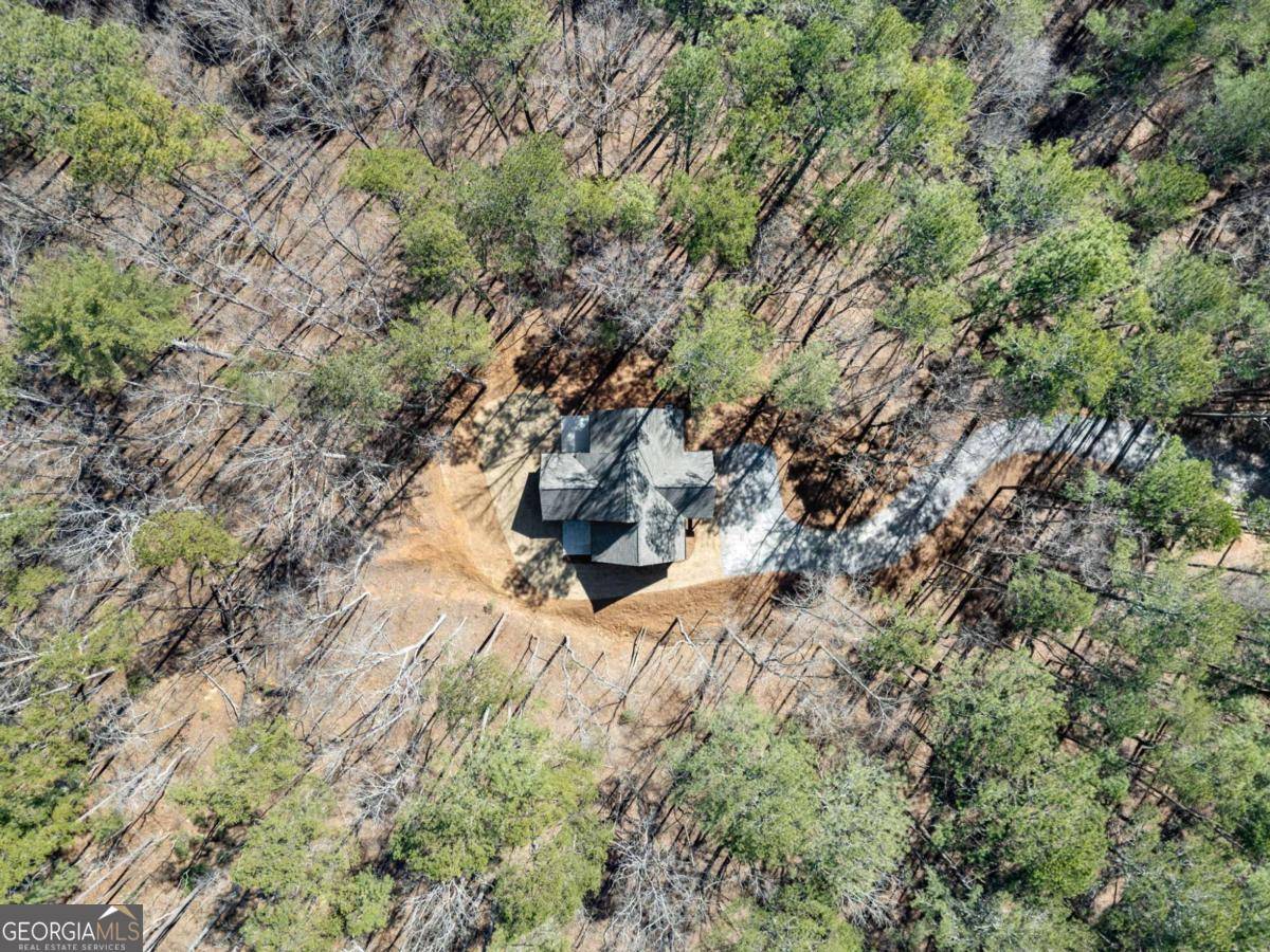 Ellijay, GA 30540,32 Holly WAY