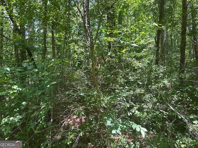 Martin, GA 30557,57 Dogwood TRL
