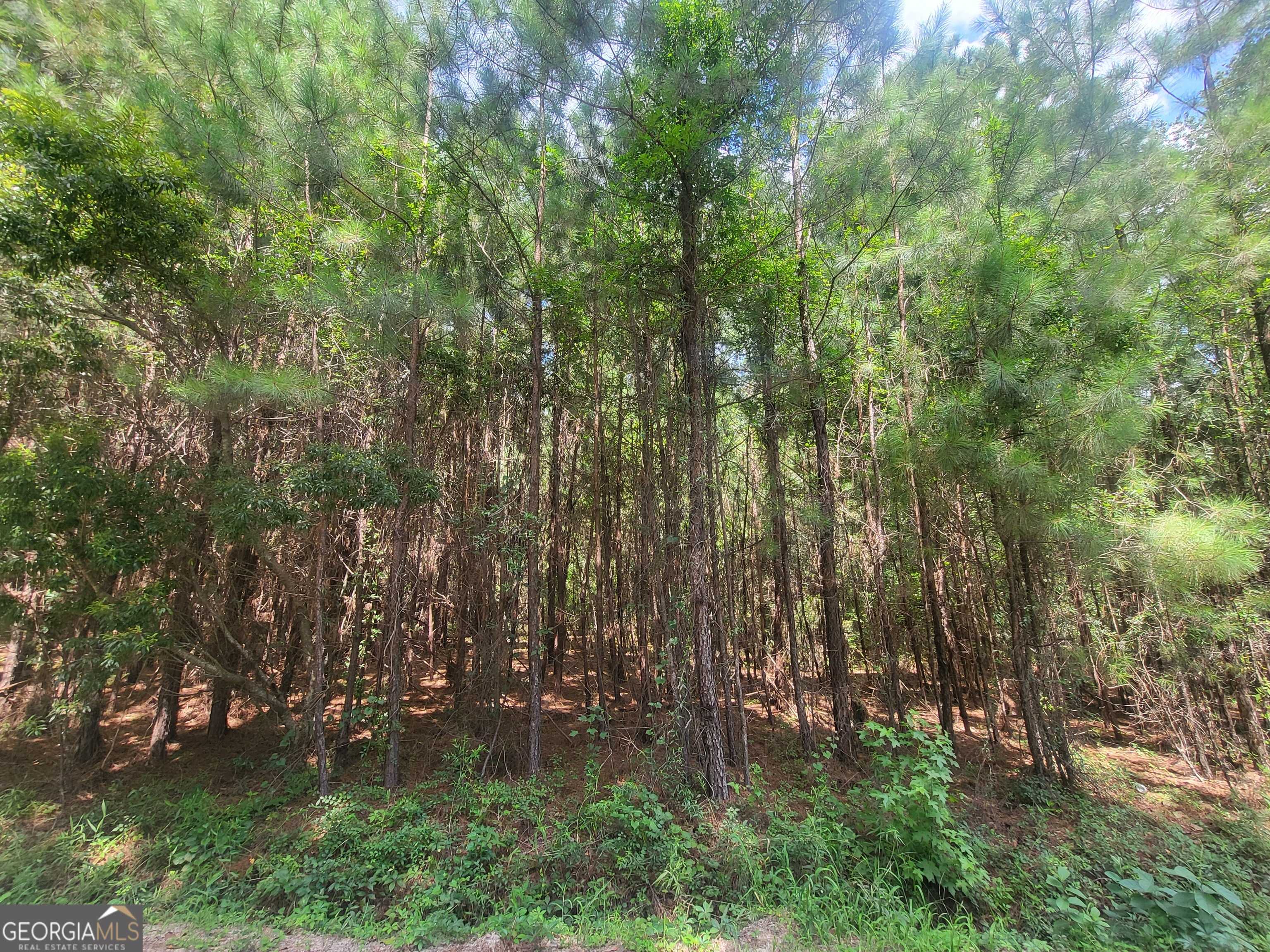 Pembroke, GA 31321,0 O F Lanier RD