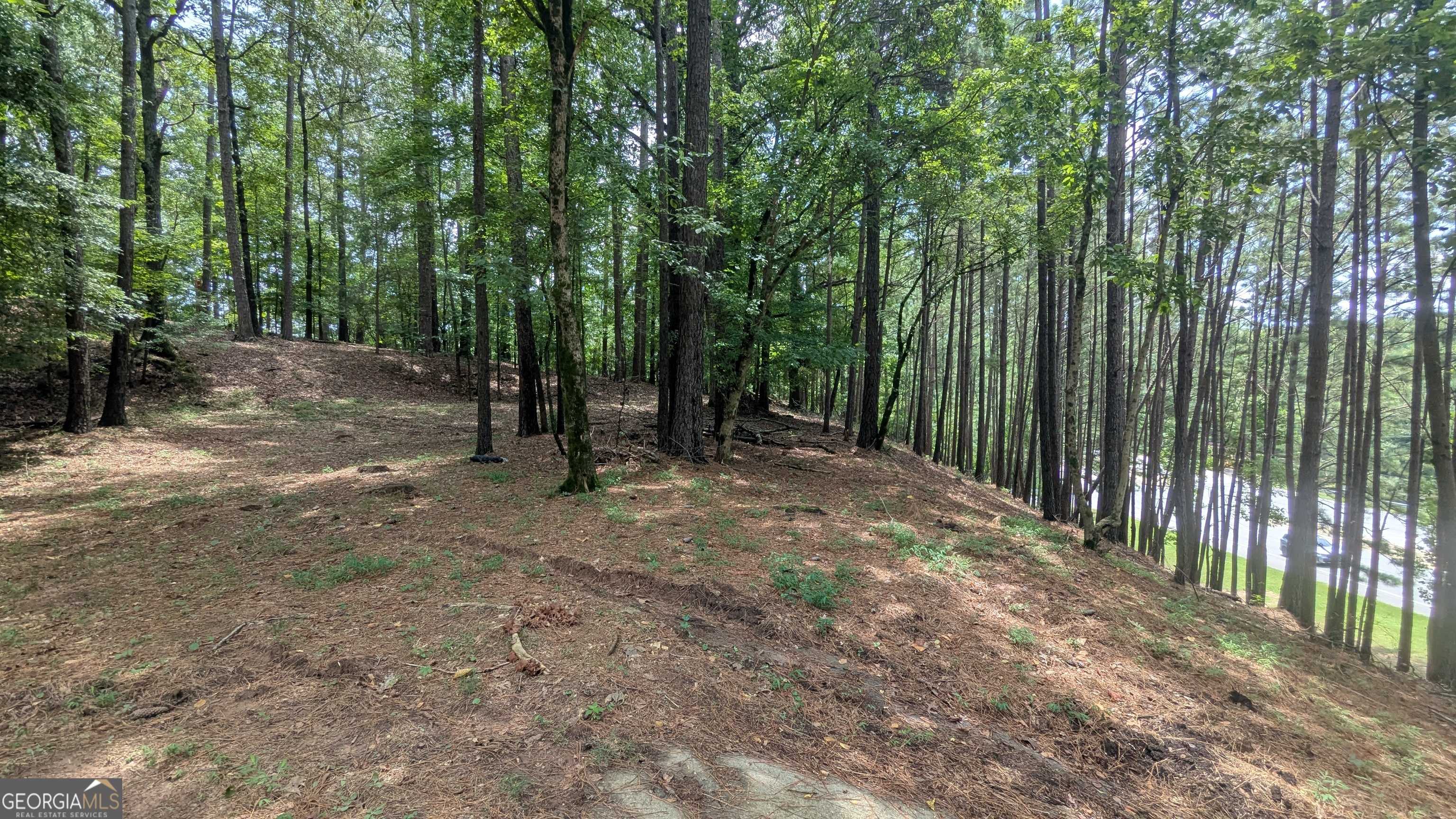 Suwanee, GA 30024,3779 Lawrenceville Suwanee RD