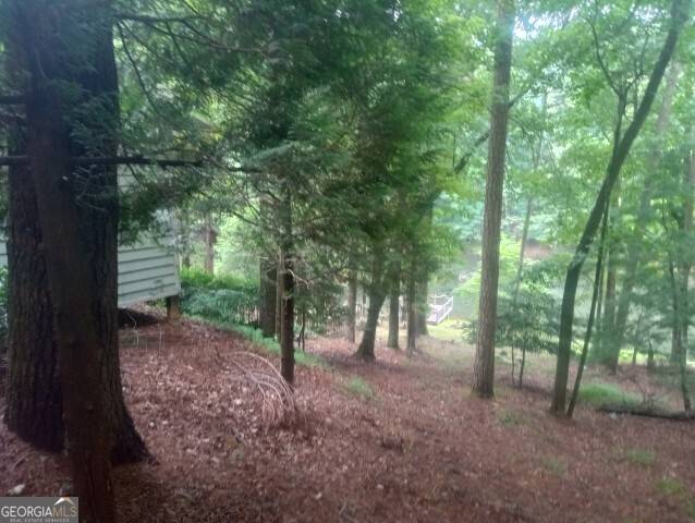 Ellijay, GA 30536,987 Lazy River LN